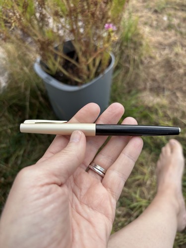 Pilot 100v fountain pen gold - pilot,