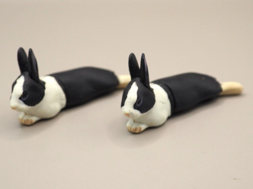 Dutch rabbit animal - rabbit, mini