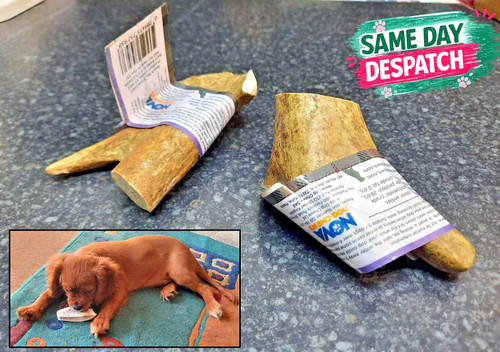 Nova dog chews highland - dog,
