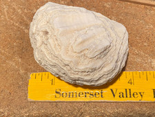 4"  X 1.3/4" Piece of White