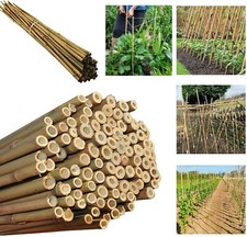 20 x Strong Bamboo Canes Garden Plant Support Stake Poles 2ft, 3ft, 4ft, 5ft,6ft