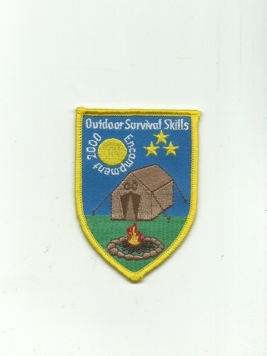 Scout bsa 2000 new - 2000,