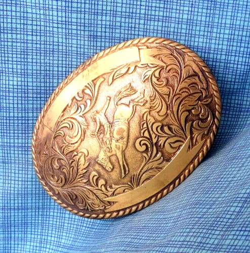 Western bronc rider cowboy - bronc,