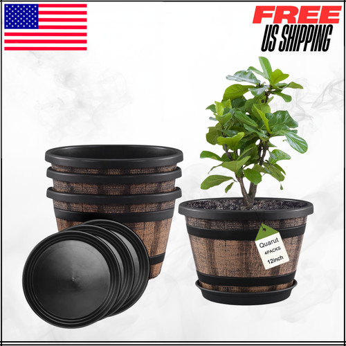 Whiskey barrel planter - barrel, flower