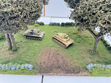 Large orchard with - orchard,