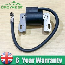 Compatible Ignition Coil for Briggs & Stratton Magneto Armature 490586 492341 UK