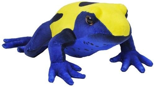 Citronella dart frog - dart,