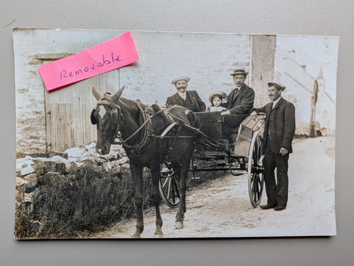 Old photo house horse carriage - old,
