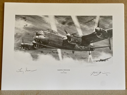 Nicholas trudgian aviation art - trudgian,