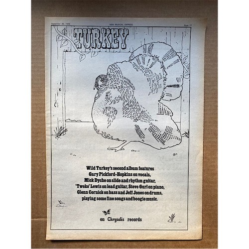 Wild turkey - turkey,