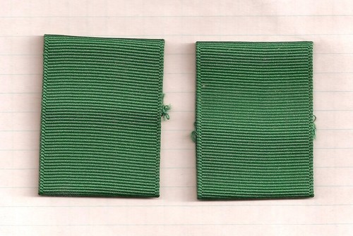 Bsa scout leader - bsa,
