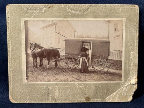 Original photo board - photo, horse