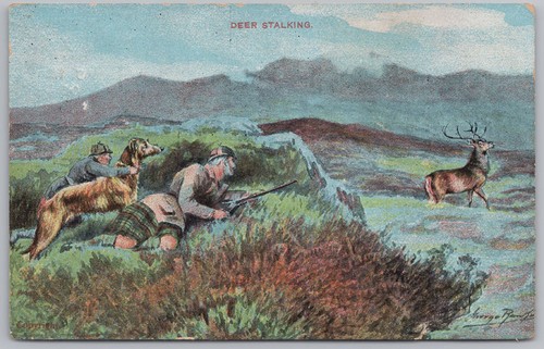 Deer stalking postcard star - deer,