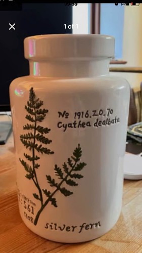 Next vase silver fern - vase,
