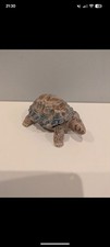 Wade Vintage Porcelain