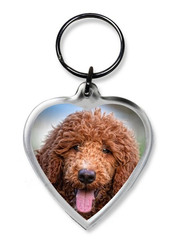 Dog keyrings heart shape - dog, pug