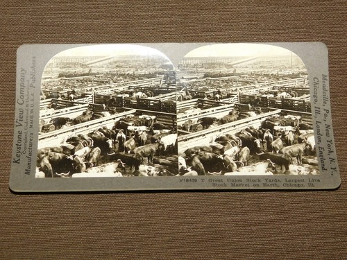 Vintage camera stereoview - vintage,
