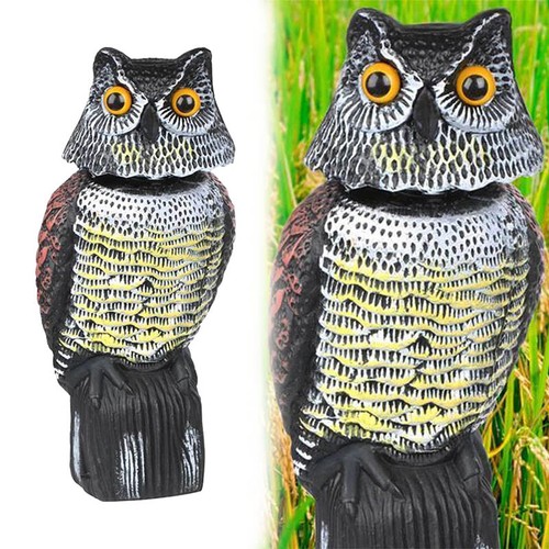 Large realistic owl decoy - realistic,