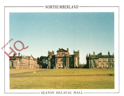 Picture postcard seaton - postcard~,