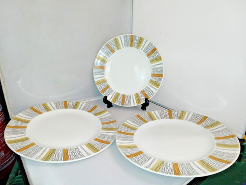 Midwinter dinner sienna - , 2