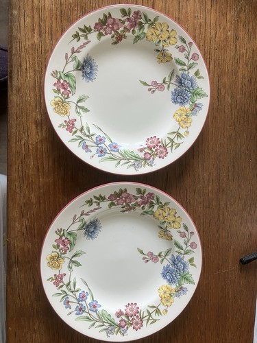 Pair vintage spode romany - vintage,