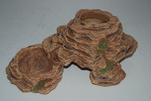 Vivarium reptile rock - rock, feeder