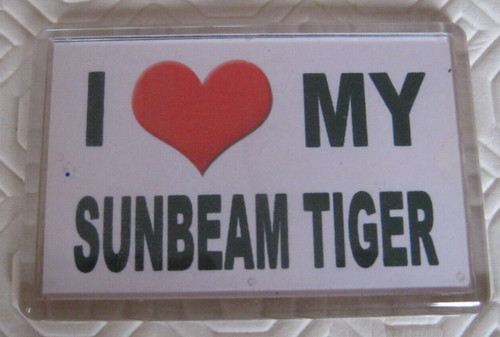 Sunbeam tiger fridge magnet - fridge, magnet.