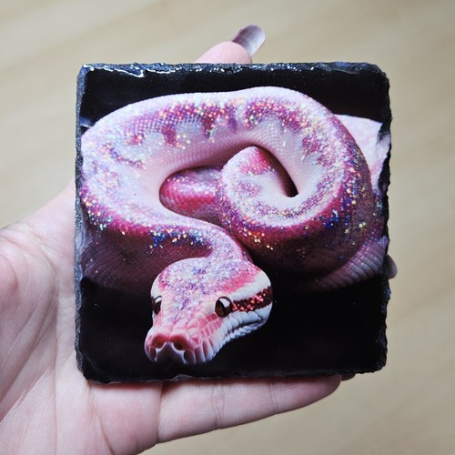 Royal python snake pink - python,
