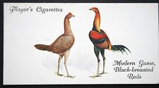 BLACK BREASTED RED CHICKENS   Poultry Breed   Vintage 1931 Card  EE23M