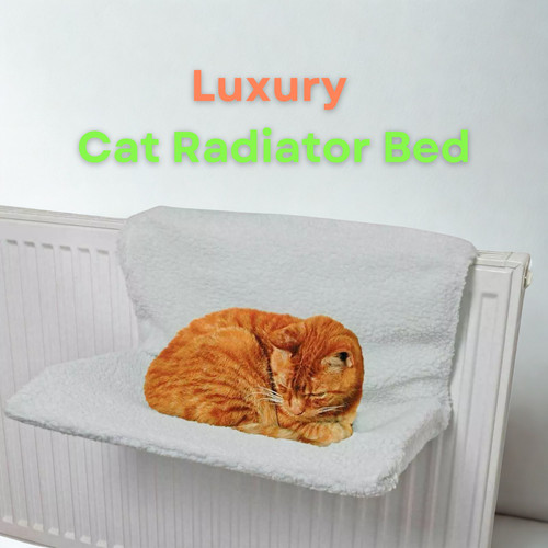 Pet living luxury - luxury, cat