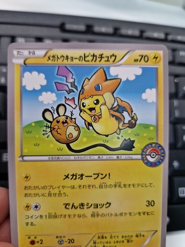 Pokemon pikachu flying - pokemon, costume