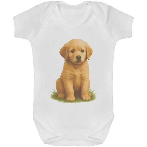 Golden retriever puppy baby - 'golden,