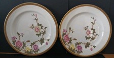 Antique Royal Worcester Dinner