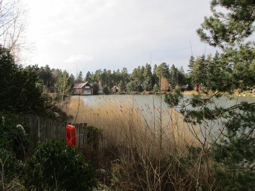 Photo 12x8 lakeside - photo, and