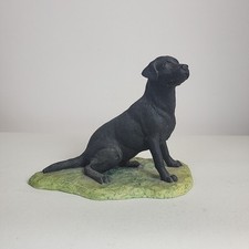 Vintage Border Fine Arts Black Labrador By Ray Ayres Dog Figurine 1983 Scotland 