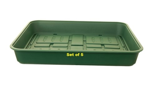 Large garden seed trays - seed,