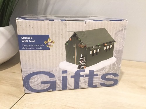 Boy scout lighted - scout,