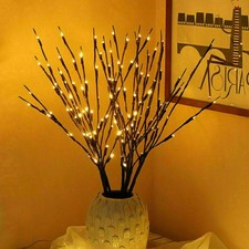 Pack led willow - 2, 20