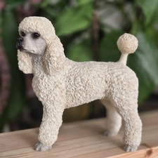 Leonardo White Poodle Dog