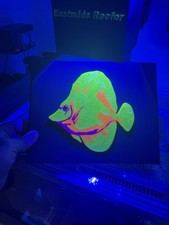 Printed reactive yellow - 3d, uv