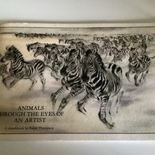 Animals Through the Eyes of an