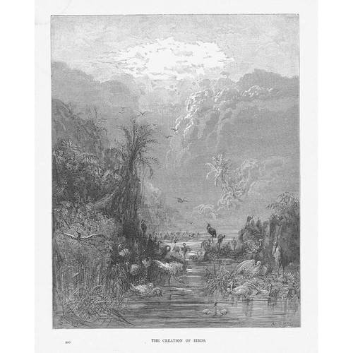 Gustave dore the - dore,