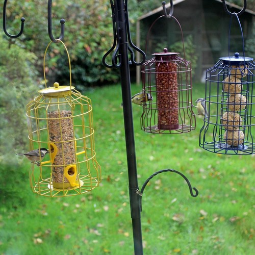 Wild bird feeder set - bird, seed