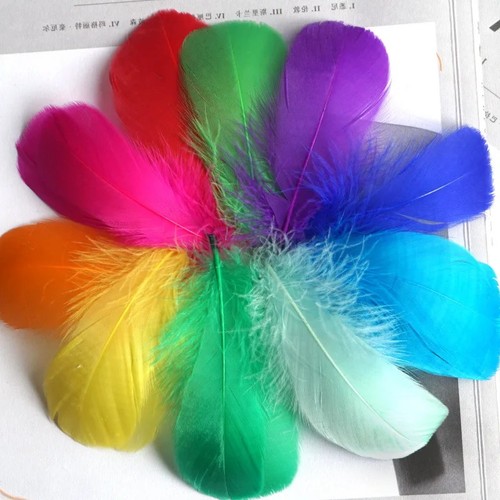 100 solid coloured feathers - 100,