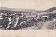 ELY Pre WWI Postcard, Torrington Railway Station & Rothern Bridge, Tavistock