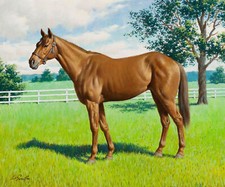 Arthur Sarnoff - Horse Hushi