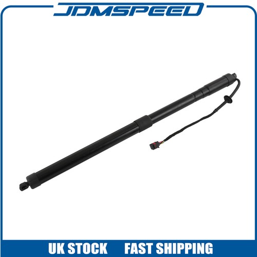 Tailgate gas strut - tailgate,