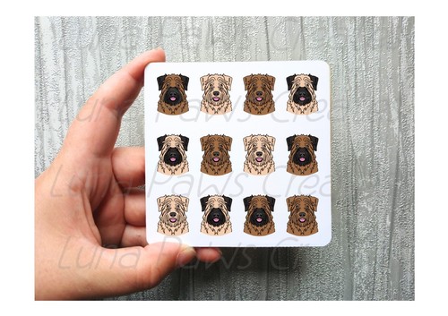 Soft coated wheaten terrier - soft,