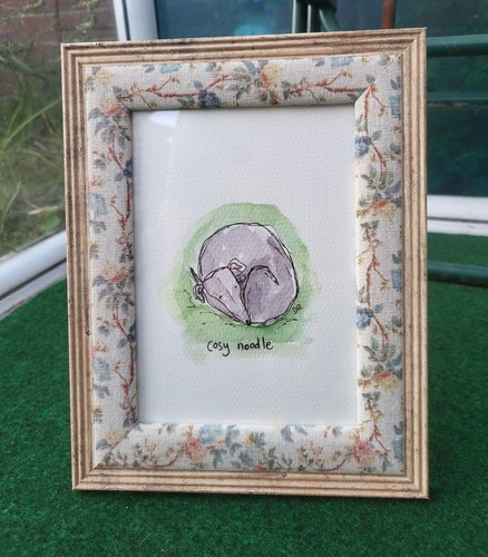 Cosy greyhound whippet - cosy,