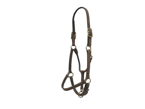 Walsh leather halter - walsh,